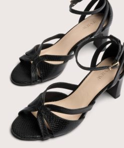 Shanicecraig.shop7725333d6f 2